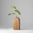 Untitled Capture11638 copy (1).webp