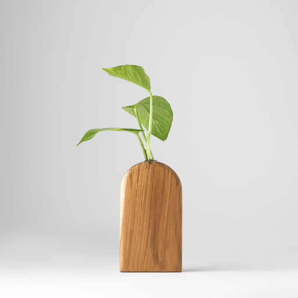 Archway image 04 -Gyara Gyara