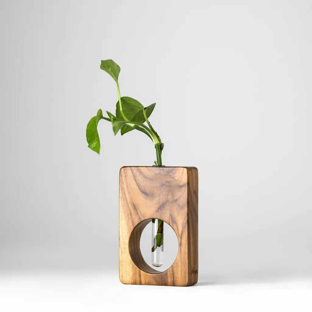 Untitled Capture11626 copy (1).webp