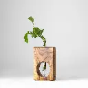 Untitled Capture11626 copy (1).webp