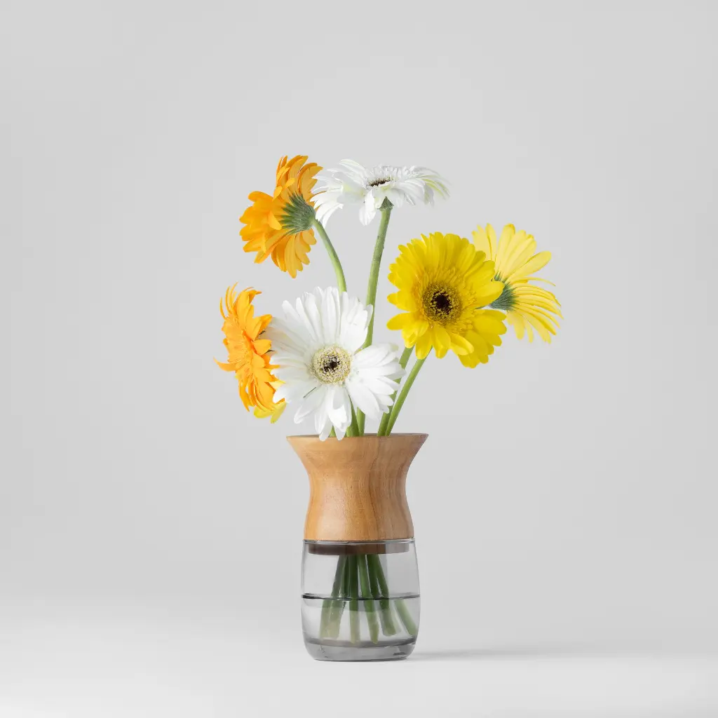 Suzu - Image - Gyara Gyara