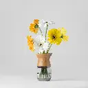 Suzu - Image - Gyara Gyara