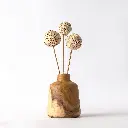 Amphora- image-GyaraGyara