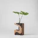 Ethera - A image - Gyara Gyara