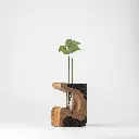 Ethera - A - image 03 - Gyara Gyara