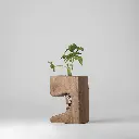 Ethera-b-iamage03-GyaraGyara