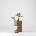 Ethera-B-image04-GyaraGyara