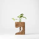 Untitled Capture11593 copy (2).webp