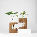 Ethera set of 2-image05-GyaraGyara