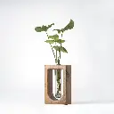 Verdant-A-image-GyaraGyara