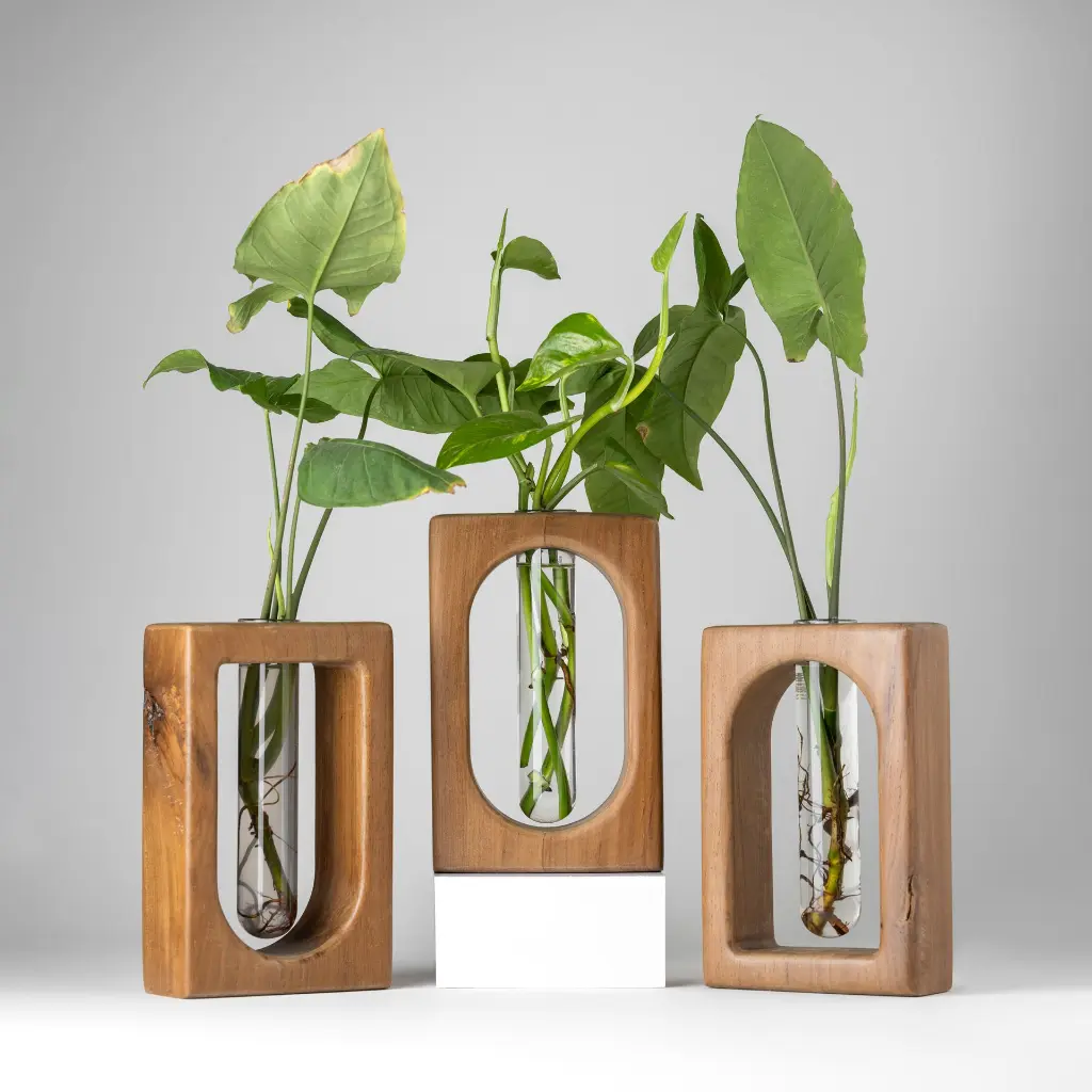 Verdant set of 3 -image02-Gyara Gyara