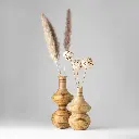 Aeva-Aurora Set- Gyara Gyara