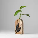 Untitled Capture11634 copy (1).webp