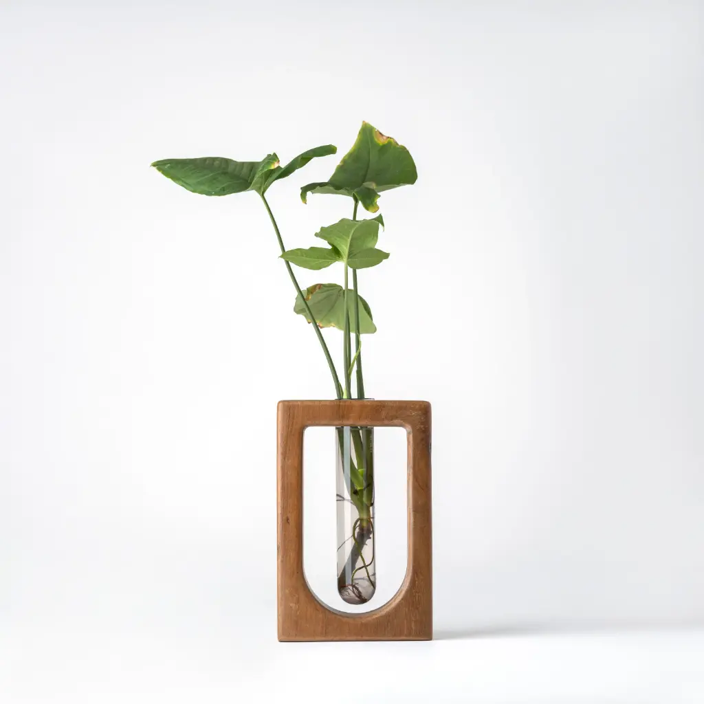 Verdant - A