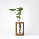 Verdant - A