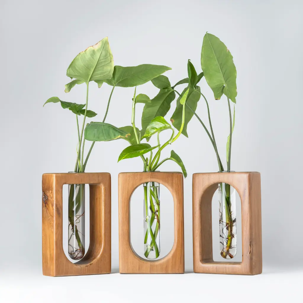 Verdant Set of 3