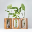 Verdant Set of 3