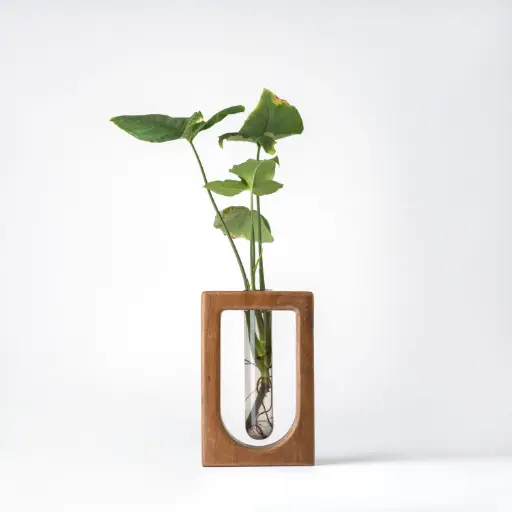 [VRDNT -A-ARTHT] Verdant - A